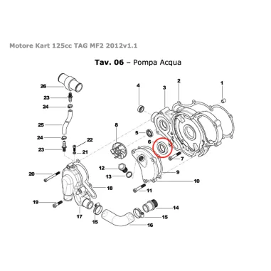 Paraolio 19x32x5 TAG-OK TM KART