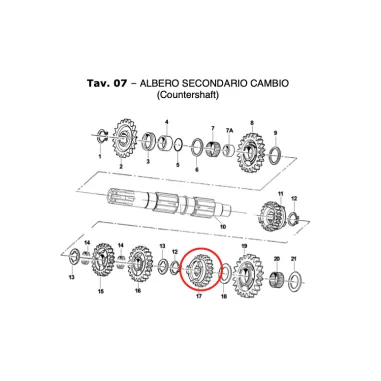 Ingranaggio albero secondario 5a scanalato Z23 KZ TM KART