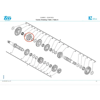 Ingranaggio albero secondario 5a scanalato Z23 KZ TM KART