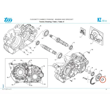 Seeger E20 KZ TM KART