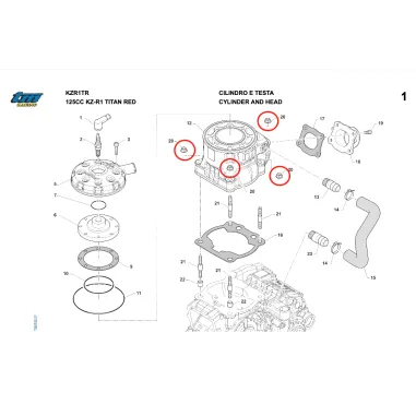 Key 12 black galvanized flanged M8 nut R1-R2 KZ TM KART