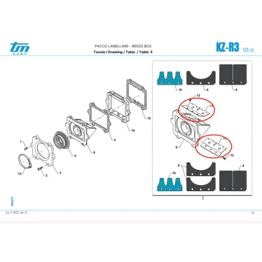 Par de topes de láminas especiales KZ TM KART