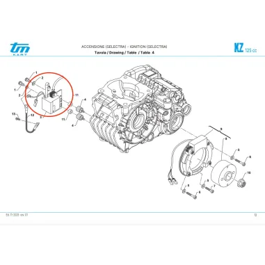 Selettra ignition coil R2-R3 KZ TM KART