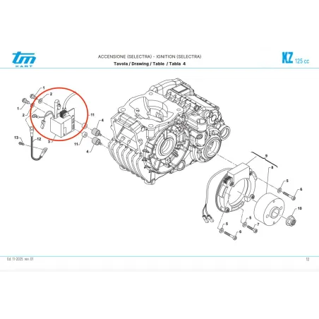 Selettra ignition coil R2-R3 KZ TM KART