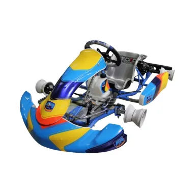 Kit adesivi completo 2024 MINI FERNANDO ALONSO