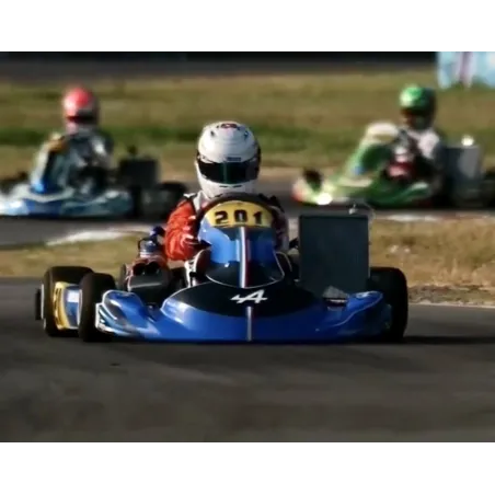 Kit adesivi completo ALPINE 2024 OK-KZ-DD2 KART REPUBLIC