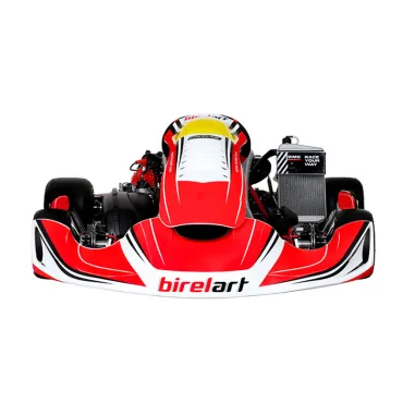 Complete kart DD2 (“Rotax Grand Finals” November 2025) BIREL ART - ROTAX USED