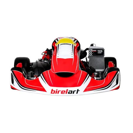 Kart completo DD2 (“Rotax Grand Finals” novembre 2025) BIREL ART - ROTAX USATO