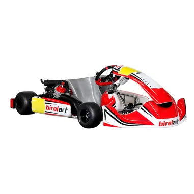 Kart completo DD2 ("Rotax Grand Finals" noviembre 2025) BIREL ART - ROTAX USADO