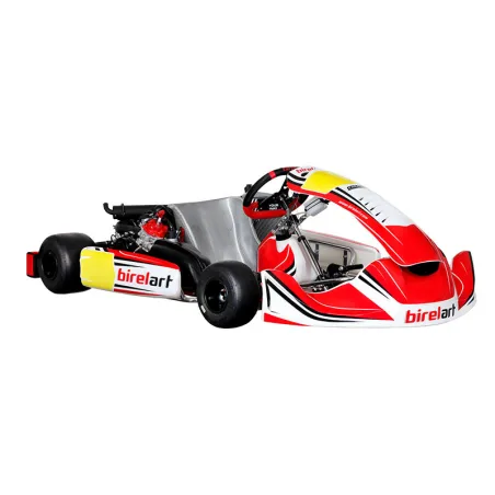 Kart completo DD2 (“Rotax Grand Finals” novembre 2025) BIREL ART - ROTAX USATO