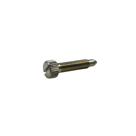 Minimum adjustment screw 076730 DELL'ORTO