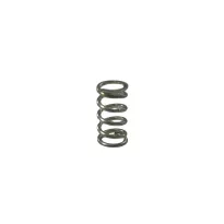 Spring 04670 for mixture screw/minimum carburetor PHBN DELL'ORTO