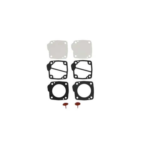 Gaskets kit for carburetor pump P34-PB DELL'ORTO.