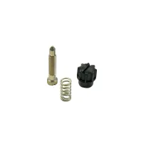 Kit vite regolazione valvola gas 53090 DELL'ORTO