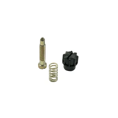 Kit vite regolazione valvola gas 53090 DELL'ORTO