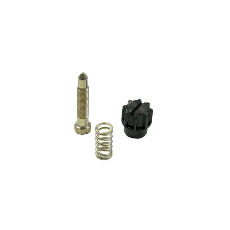 Kit vite regolazione valvola gas 53090 DELL'ORTO