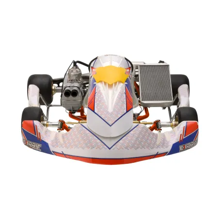 Chasis NOESIS T OK EXPRIT KART