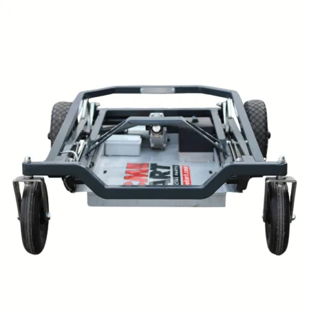 Carro eléctrico Easy Carry CME KART