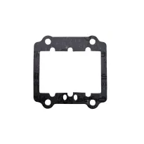 Lamellar pack gasket R2-R3 KZ TM KART