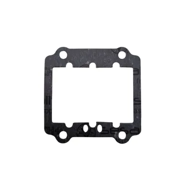 Lamellar pack gasket R2-R3 KZ TM KART