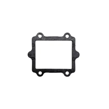 Lamellar pack plate gasket KZ TM KART