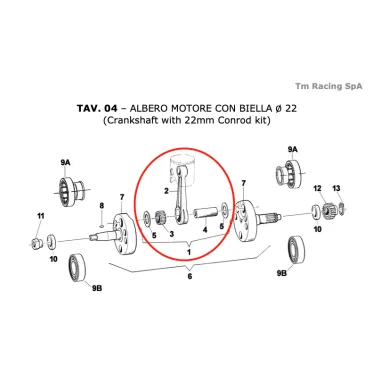 Biella completa asse 22 KZ TM KART