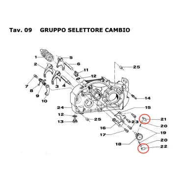 Gear ratchet KZ TM KART