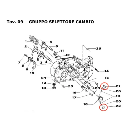 Grillo de cambio KZ TM KART