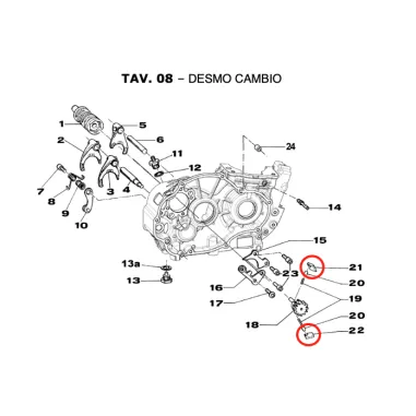 Gear ratchet KZ TM KART