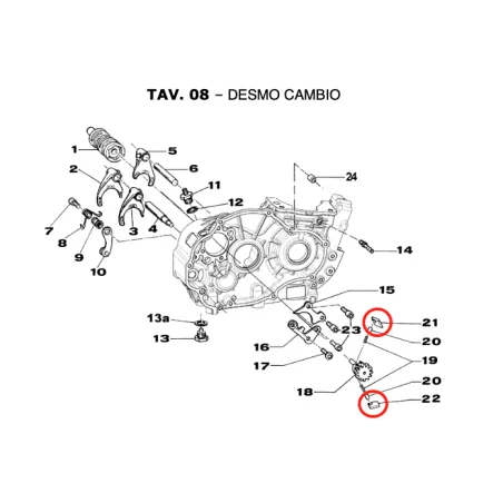Gear ratchet KZ TM KART