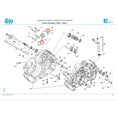 Cricchetto cambio KZ TM KART