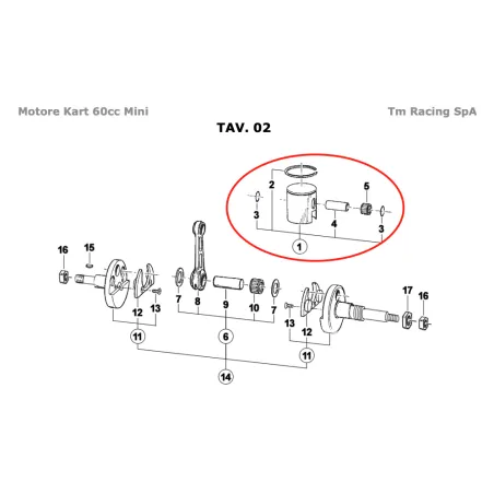 Pistón completo MINI TM KART