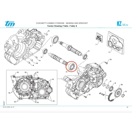Cuscinetto a rulli pignone R1-R2-R3 KZ TM KART