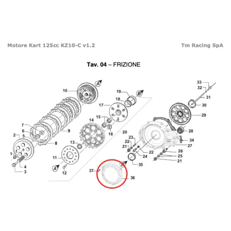 Tapa de protección del embrague KZ TM KART