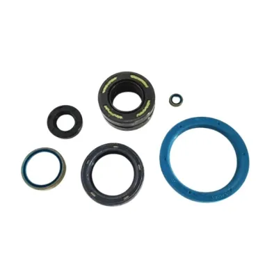 Kit paraolio KZ TM KART