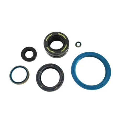 Kit paraaceite KZ TM KART