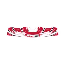 Pegatina de carenado delantero 507 2023 BIREL ART