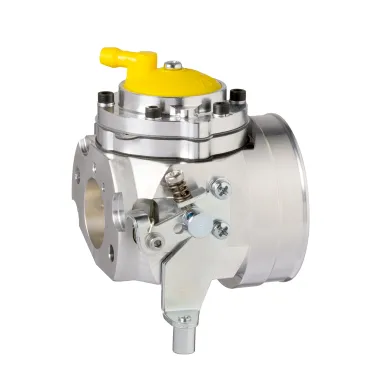Carburetor E1 OKJ CIK-FIA IBEA