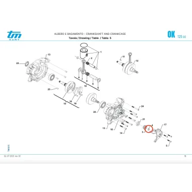 Seeger E13 OK TM KART