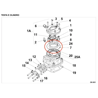 Cylinder head external gasket OK-KF-KZ IAME