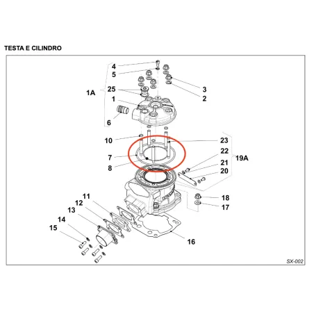 Cylinder head external gasket OK-KF-KZ IAME