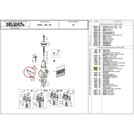 Kit vite regolazione valvola gas 53090 DELL'ORTO