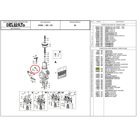 Kit tornillo regulación aire 53091 DELL'ORTO