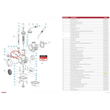 Kit vite regolazione miscela minimo 53024 per carburatori PHBG e PHDG DELL'ORTO