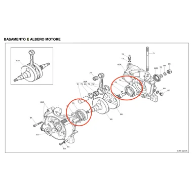 Main bearing X30 IAME