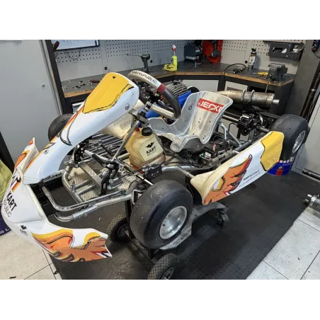Kart completo MINI KART REPUBLIC - IAME USADO
