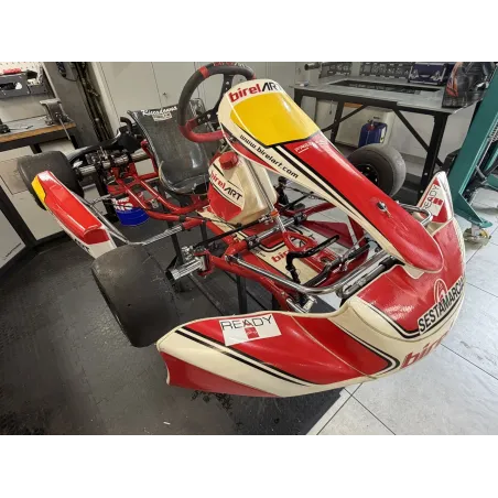 Telaio RY30-S11 OK BIREL ART USATO