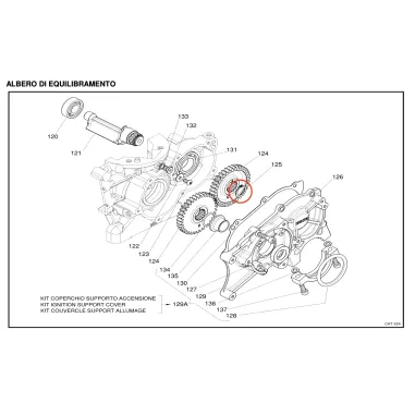 Engranaje Seeger x30 IAME