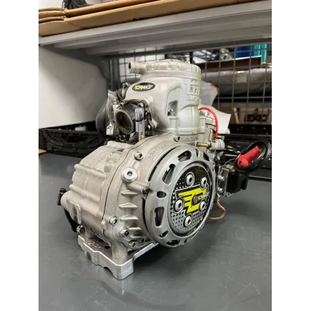 Motore pronto pista 125cc KZ-R1 TM KART USATO