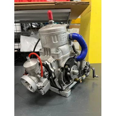 Motore pronto pista 125cc KZ10 TM KART USATO